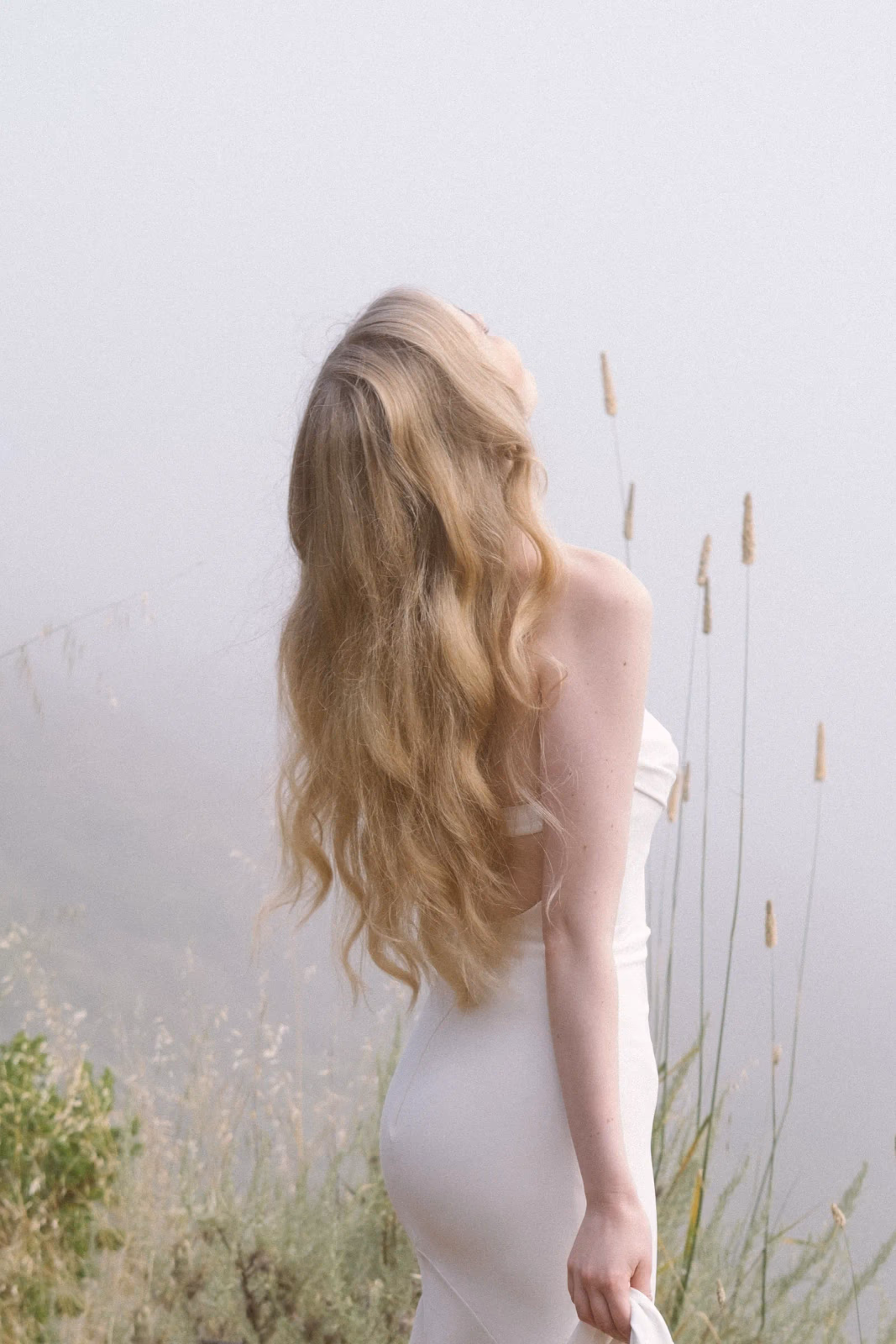 Fine Art Photography