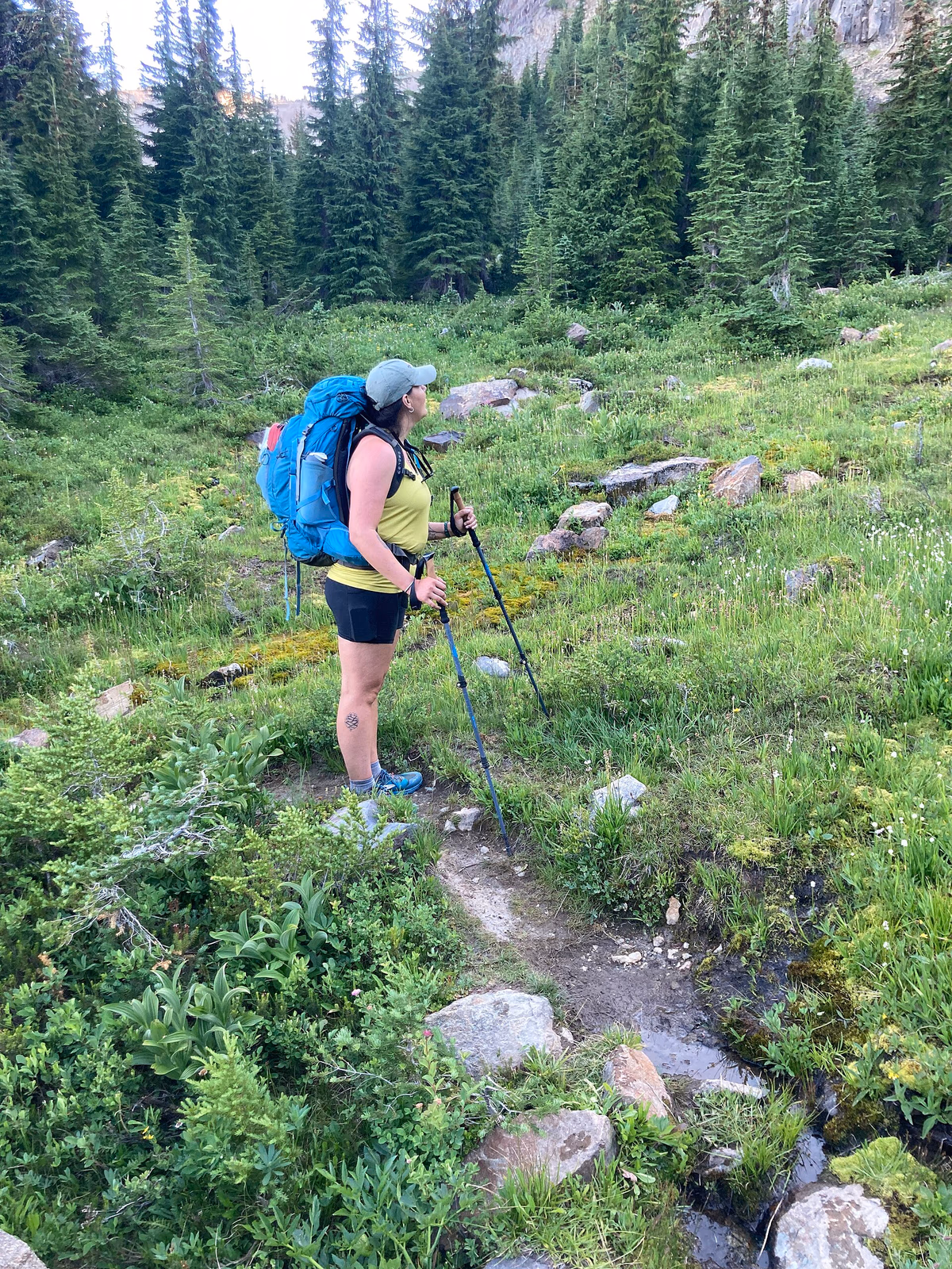 Backpacker takes in landscape in Goat Rocks Wilderness